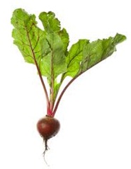 beet and green