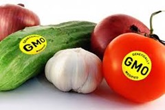 gmo crops